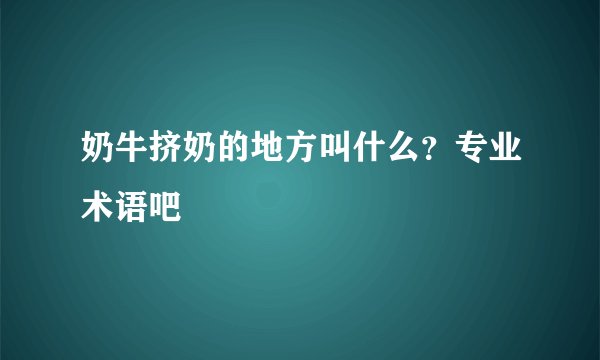 奶牛挤奶的地方叫什么？专业术语吧