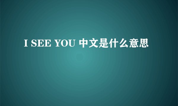 I SEE YOU 中文是什么意思