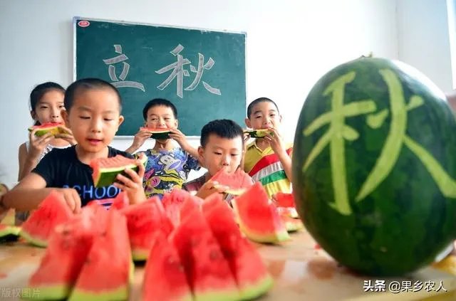 今日立秋,农村老人常说的“啃秋”是什么意思?