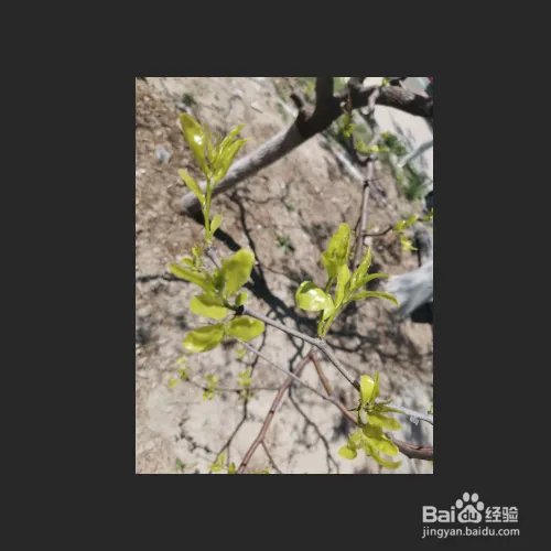 将图片调色为暖色调