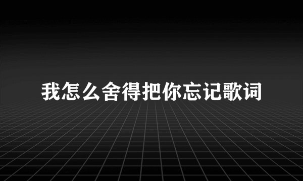 我怎么舍得把你忘记歌词