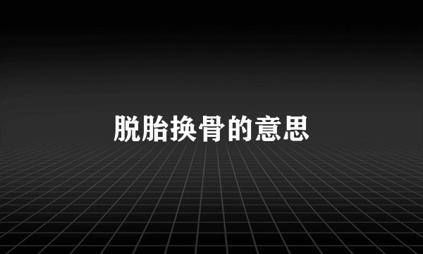 脱胎换骨的意思