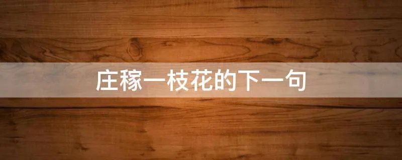 庄稼一枝花的下一句