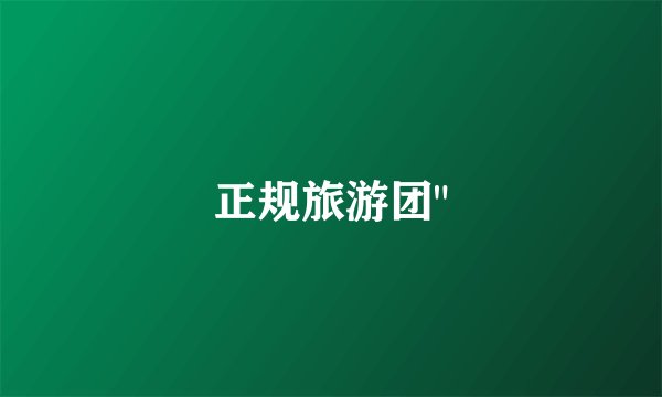 正规旅游团