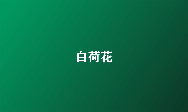白荷花