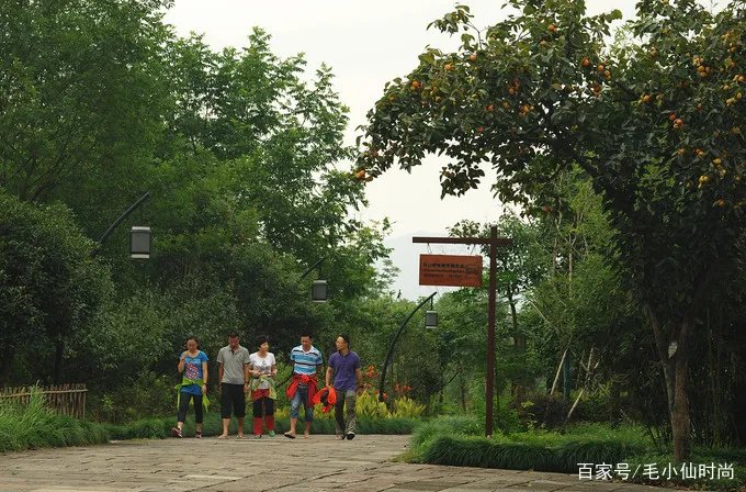 西溪湿地·洪园怎么逛?