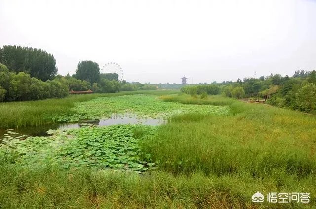 潍坊湿地公园在哪里?有多大?