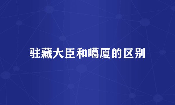 驻藏大臣和噶厦的区别