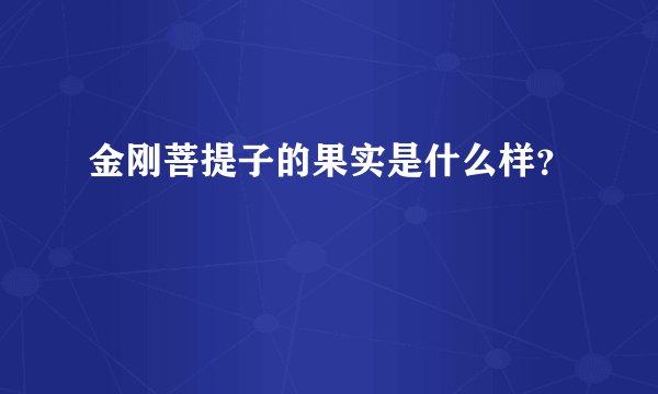 金刚菩提子的果实是什么样？