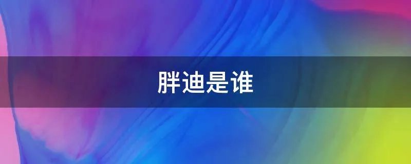 胖迪是谁