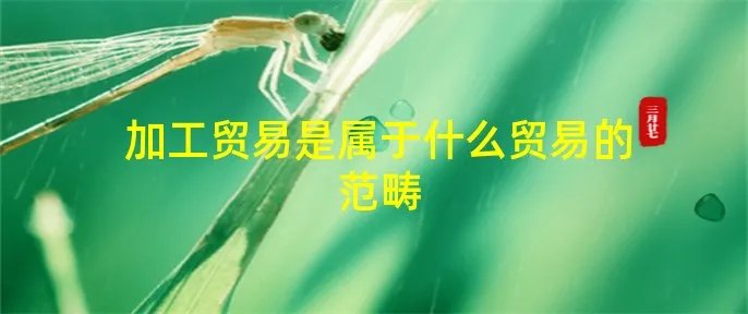 加工贸易是属于什么贸易的范畴
