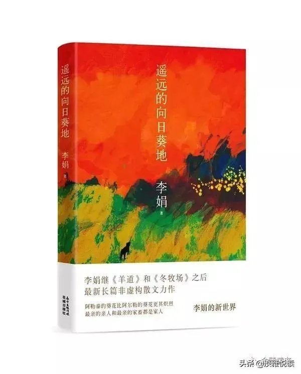 李娟的散文特别好,谁能说说她散文的特点是怎样的?