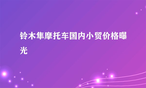铃木隼摩托车国内小贸价格曝光