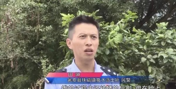 民警为救猪跳进化粪池,事件的始末具体是怎么回事?
