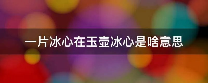 一片冰心在玉壶冰心是啥意思