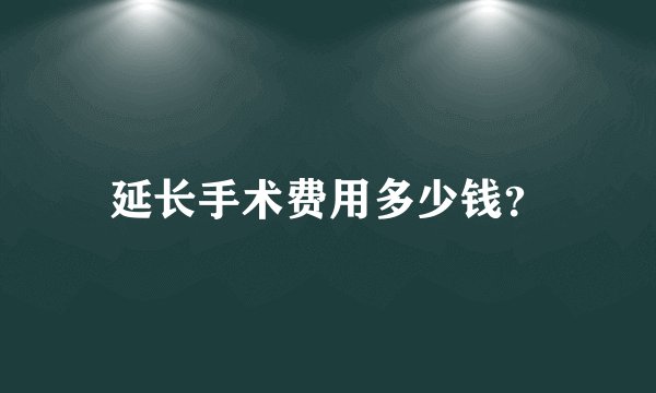 延长手术费用多少钱？