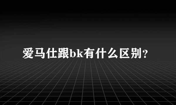 爱马仕跟bk有什么区别？