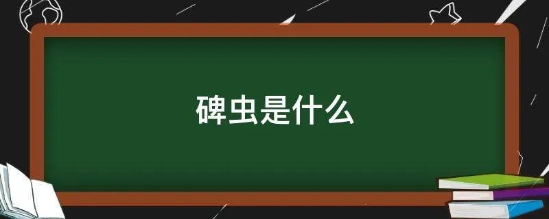碑虫是什么