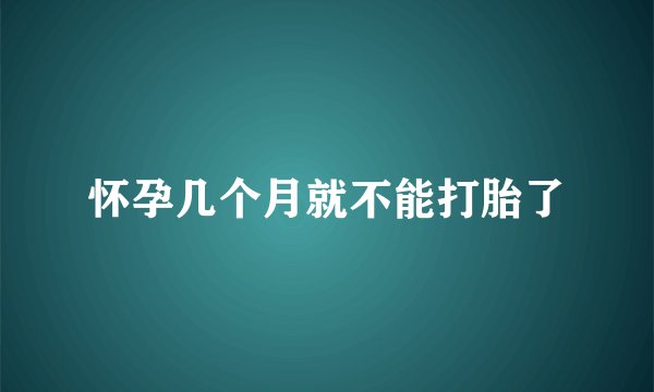 怀孕几个月就不能打胎了