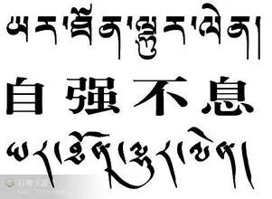 梵文纹身！！求解释！！