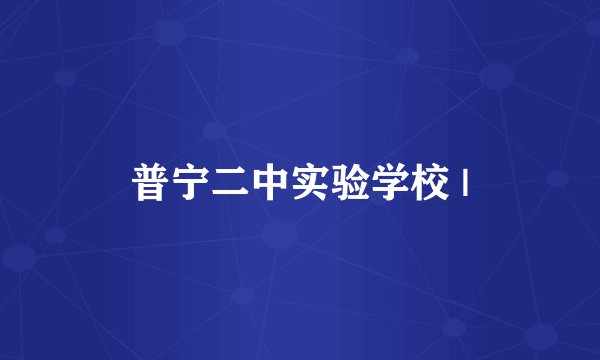 普宁二中实验学校 |