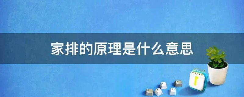 家排的原理是什么意思