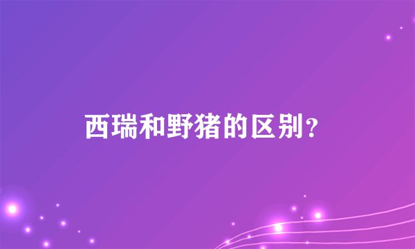 西瑞和野猪的区别？