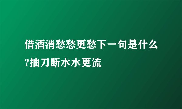 借酒消愁愁更愁下一句是什么?抽刀断水水更流