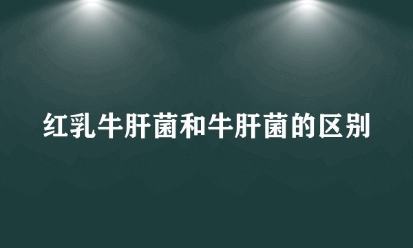红乳牛肝菌和牛肝菌的区别