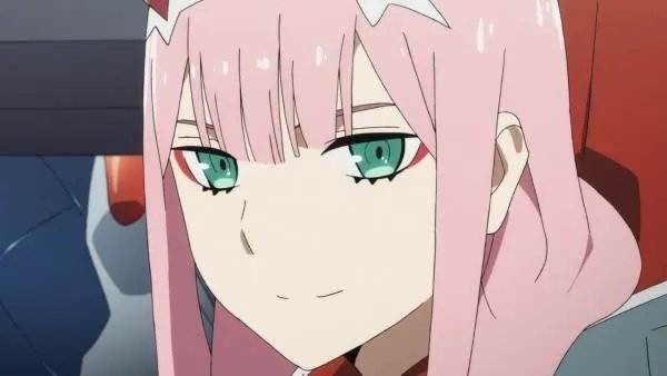 darling in the franx为什么叫国家队?