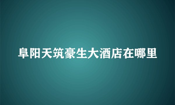 阜阳天筑豪生大酒店在哪里