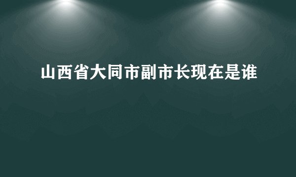 山西省大同市副市长现在是谁