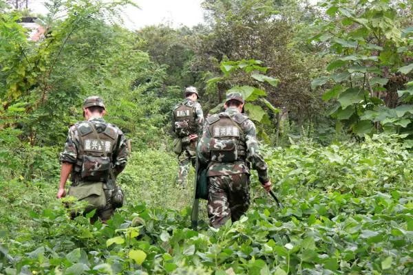 新疆武警怎样