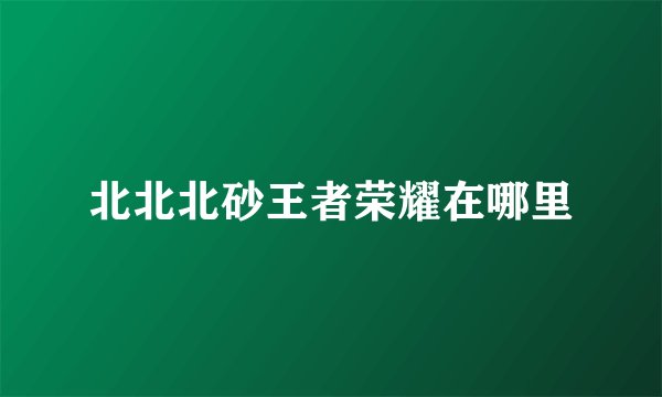北北北砂王者荣耀在哪里