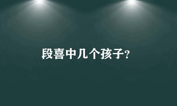 段喜中几个孩子？