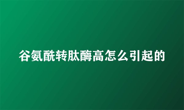 谷氨酰转肽酶高怎么引起的