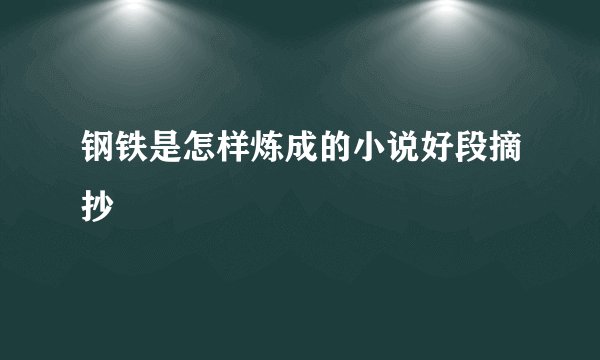 钢铁是怎样炼成的小说好段摘抄