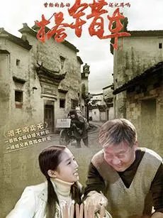 搭错车电视剧共多少集？