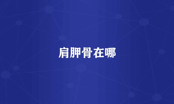 肩胛骨在哪