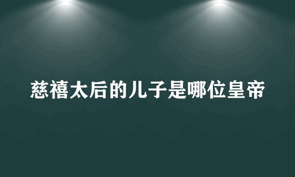 慈禧太后的儿子是哪位皇帝