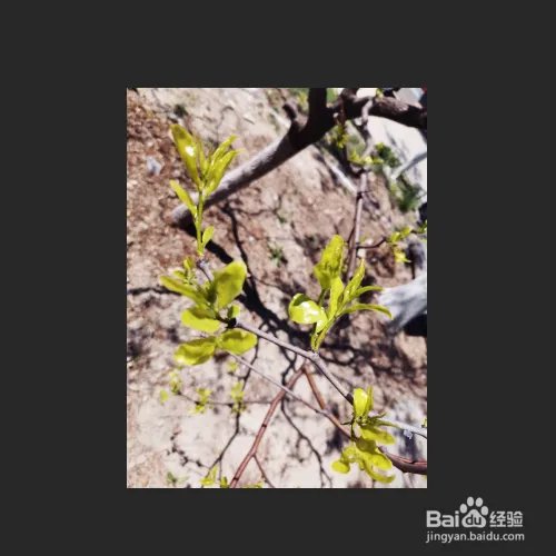 将图片调色为暖色调