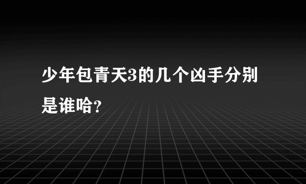 少年包青天3的几个凶手分别是谁哈?