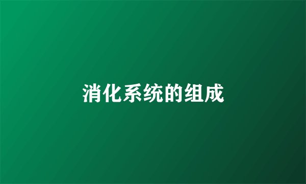 消化系统的组成
