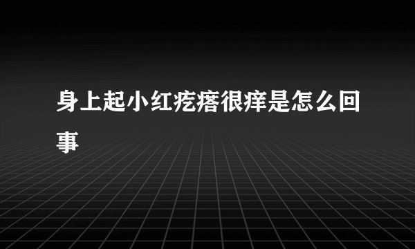 身上起小红疙瘩很痒是怎么回事