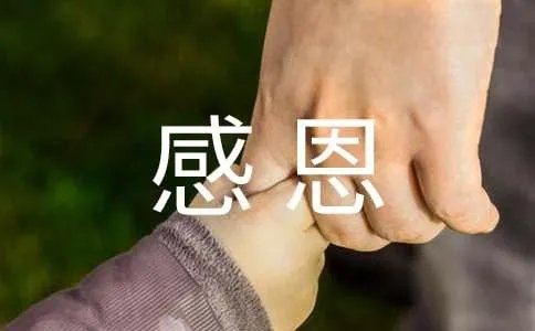 感恩社会作文