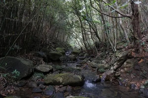 请问,惠州象头山好玩吗?具体位置在哪里呢?