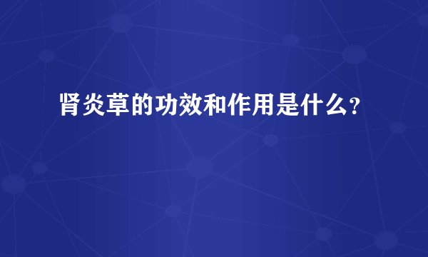 肾炎草的功效和作用是什么？