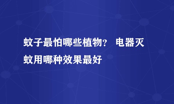 蚊子最怕哪些植物? 电器灭蚊用哪种效果最好