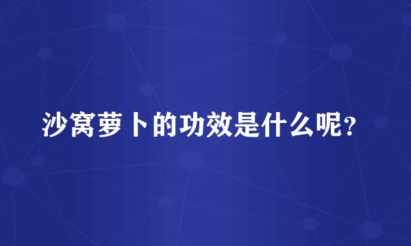沙窝萝卜的功效是什么呢？