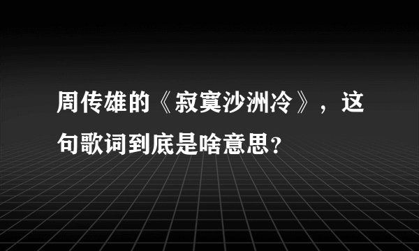 周传雄的《寂寞沙洲冷》，这句歌词到底是啥意思？